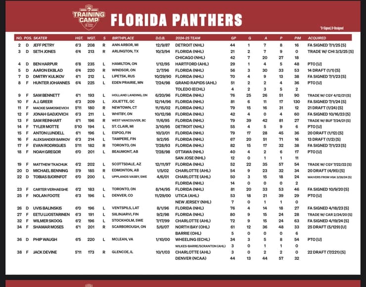 Florida panthers