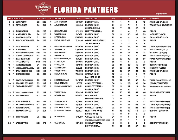 Florida panthers