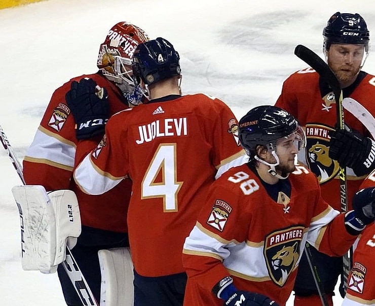 Florida panthers