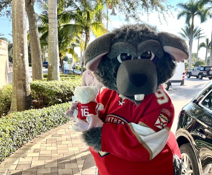 Florida panthers