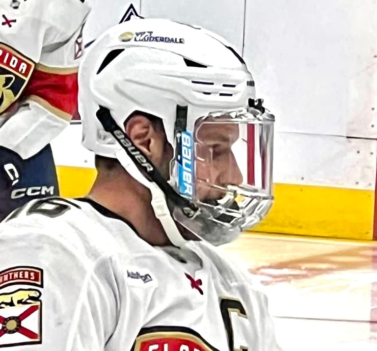 Barkov panthers