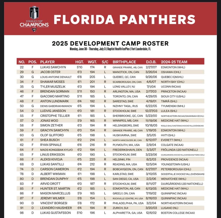 Florida panthers