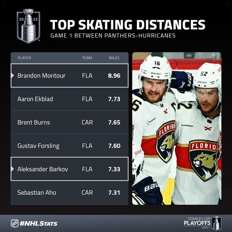 Panthers montour