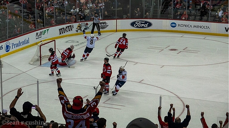 Florida panthers