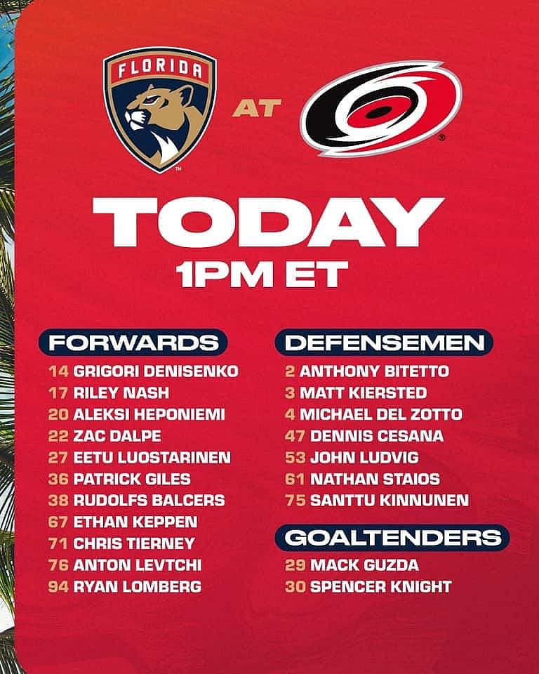 Florida panthers