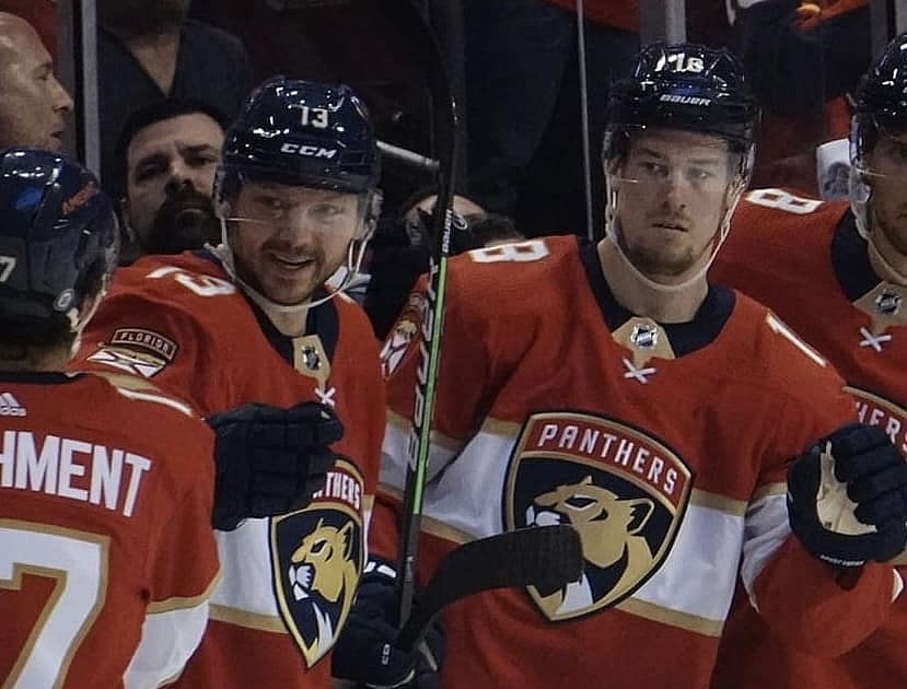 Florida panthers
