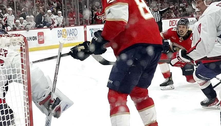 Florida panthers