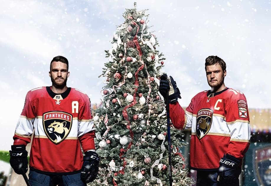 Florida panthers