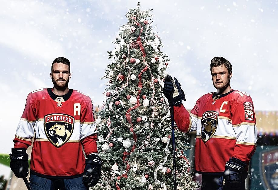 Florida panthers