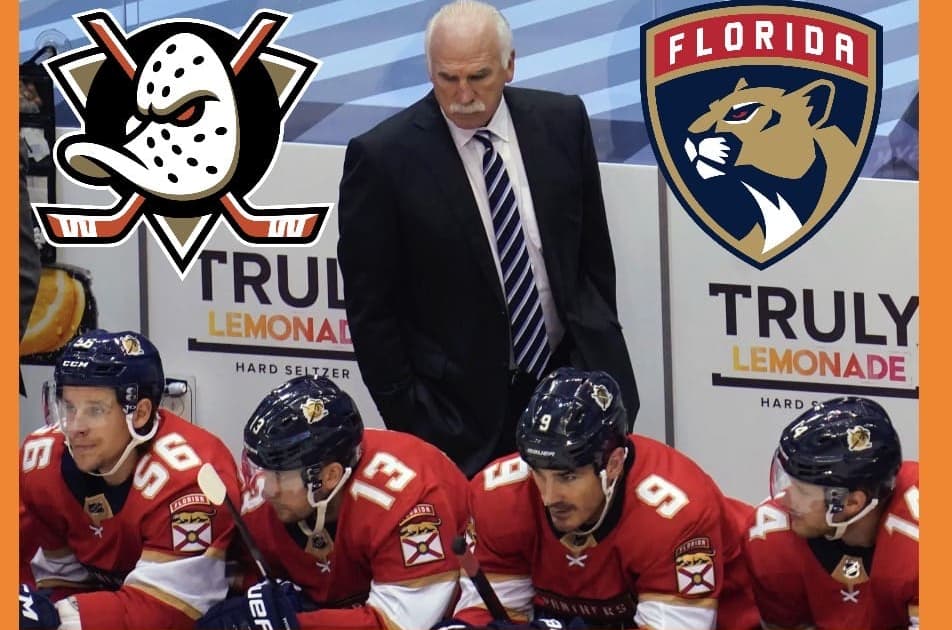 Panthers ducks