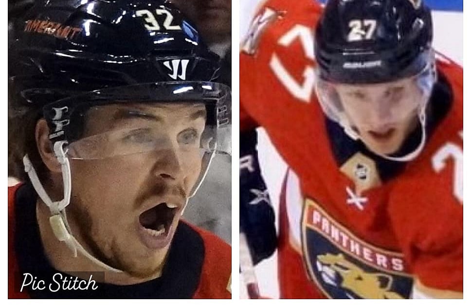 Florida Panthers Lucas Carlsson Eetu Luostarinen