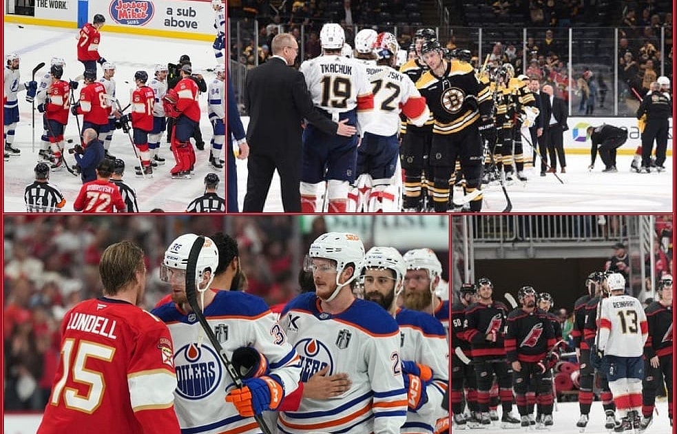 Stanley cup playoffs