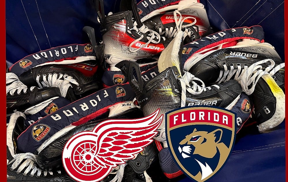 Panthers red wings